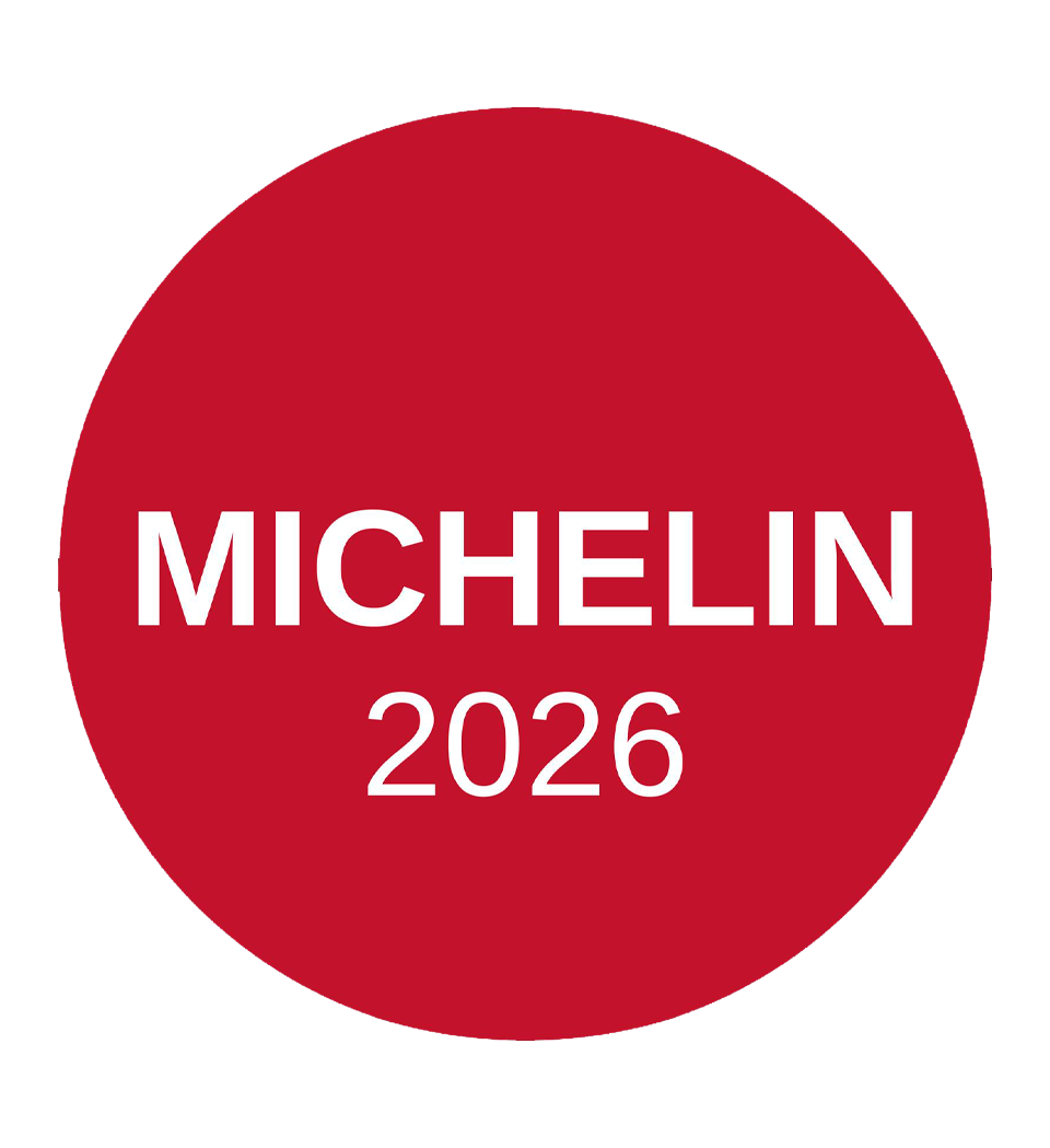 michelin 26